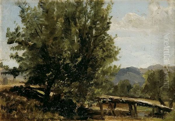 Paisaje Con Un Arbol Oil Painting by Carlos de Haes