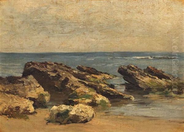 Rock On The Shoreline And Others (10 Works) Oil Painting by Carlos de Haes