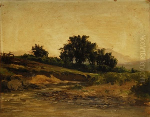 Paisaje De Campo Al Atardecer Oil Painting by Carlos de Haes