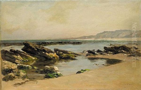 Rocas En La Playa Oil Painting by Carlos de Haes