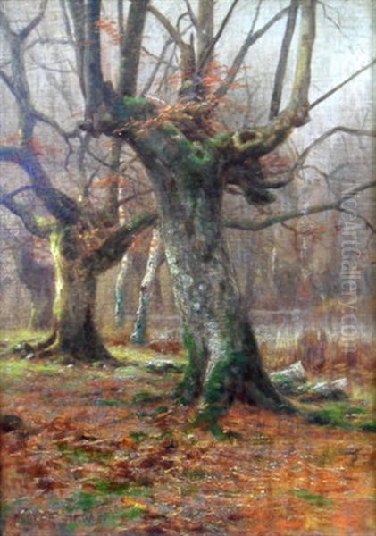 Burnham Beeches Oil Painting by Parker Hagarty