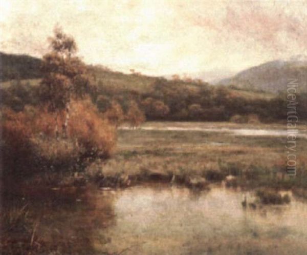 Marsh In Autumn Oil Painting by Parker Hagarty