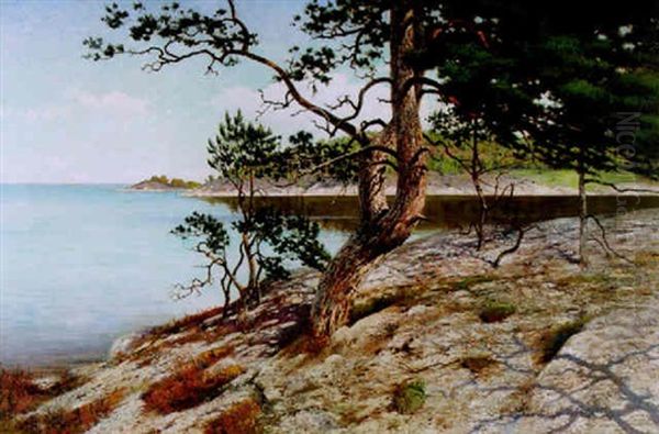 Skargardslandskap - Motiv Fran Dalaro Oil Painting by August Vilhelm Nikolaus Hagborg