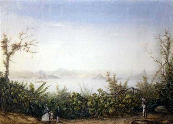 Morro De Ste Theresa (rio De Janeiro) Oil Painting by Friedrich Hagedorn