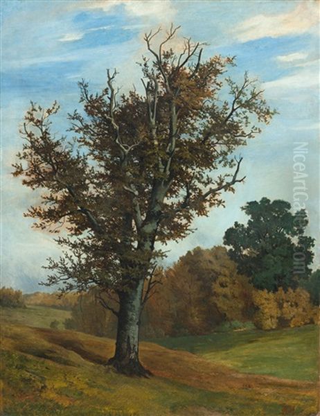 Buche In Herbstlicher Landschaft Oil Painting by Karl Hagemeister