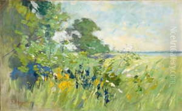 Sommerliche Uferlandschaft Oil Painting by Karl Hagemeister