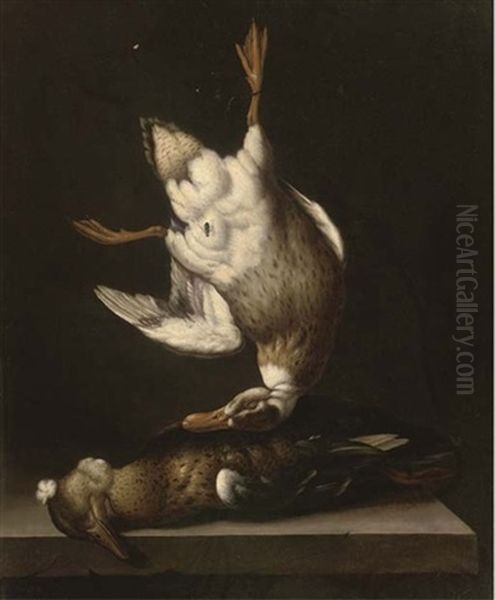 A Dead Duck Suspended From A Nail With A Fly Above A Duck On A Stone Ledge Oil Painting by Jacobus van der Hagen