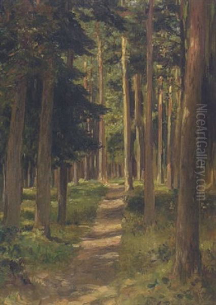 Halbschattiger Waldweg Oil Painting by Theodor Joseph Hagen