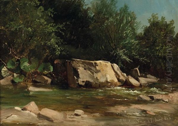 Der Halterbach In Hutteldorf Oil Painting by Ludwig Georg Eduard Halauska