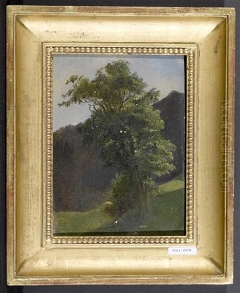 Landschaft Mit Baum Oil Painting by Ludwig Georg Eduard Halauska