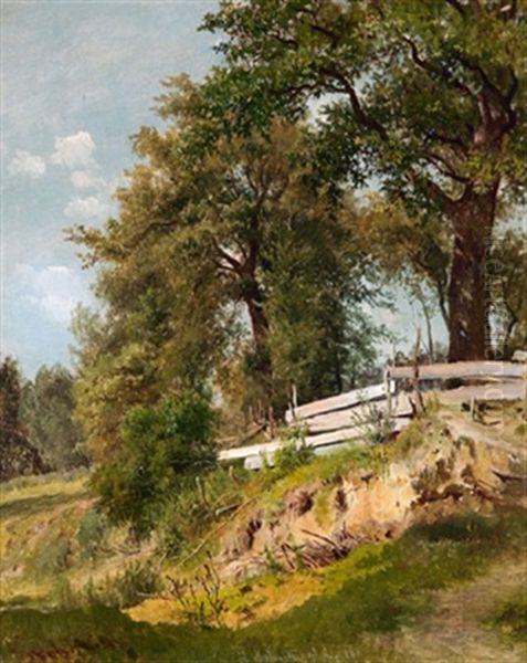 Baumpartie Mit Planken Bei Pang Oil Painting by Ludwig Georg Eduard Halauska