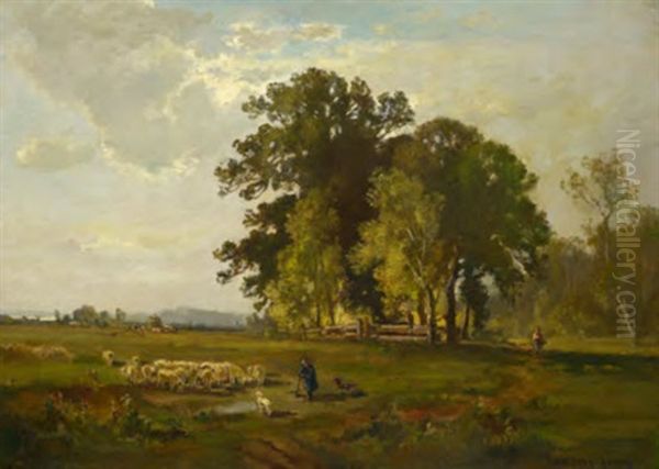 Schafer Mit Seiner Herde In Sommerlandschaft Oil Painting by Fritz Halberg-Krauss