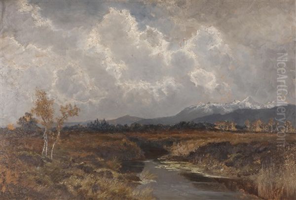 Moorlandschaft In Oberbayern Oil Painting by Fritz Halberg-Krauss