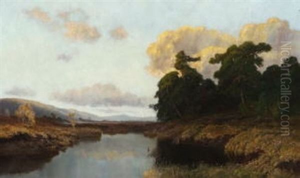 Moorlandschaft Im Abendlicht Oil Painting by Fritz Halberg-Krauss