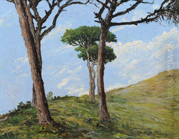 Pini Sopra S.ilario Oil Painting by Guglielmo Baldassini