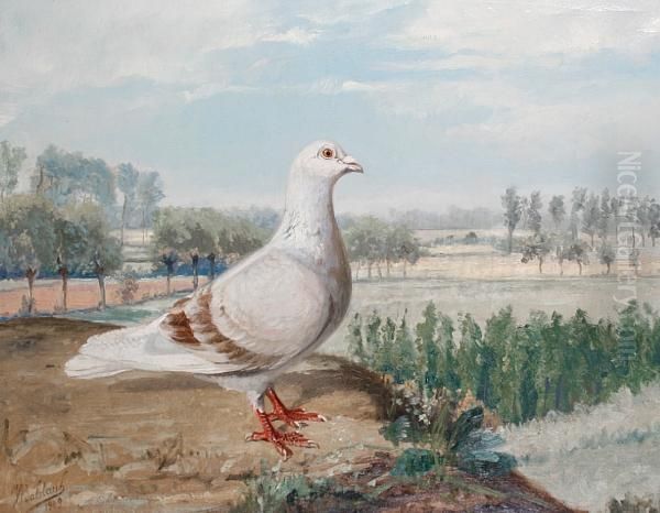 Pigeon Perched On A Bank With Treesbeyond Oil Painting by Jean Baldauf