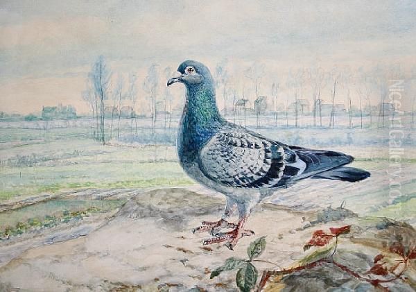 Pigeon On A Bank With Trees Beyond, Apair Oil Painting by Jean Baldauf