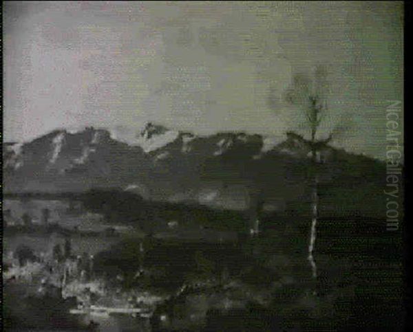 Moorlandschaft Bei Kochel Oil Painting by Fritz Halberg-Krauss