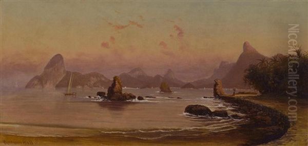 Bay Of Rio De Janeiro Oil Painting by Cyrenius Hall