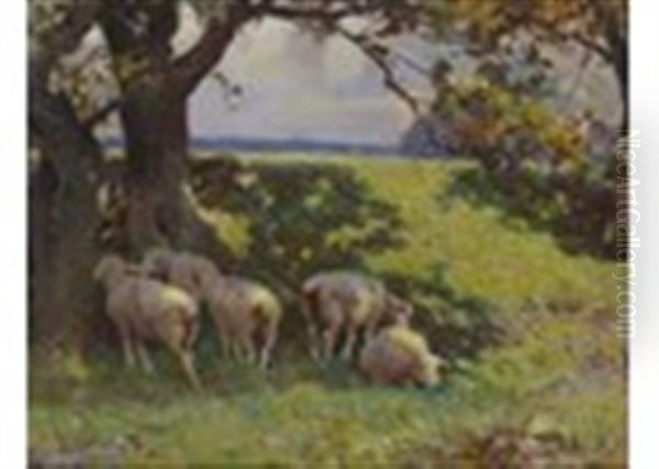 A Small Flock Of Sheep In The Shade Oil Painting by Frederick Hall