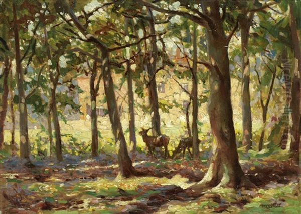 Deer In Sunlight Copse Oil Painting by Frederick Hall