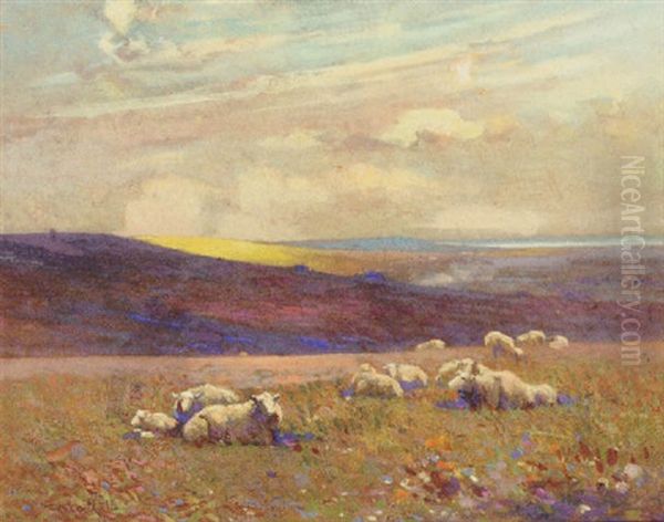 Grazing Sheep by Frederick Hall