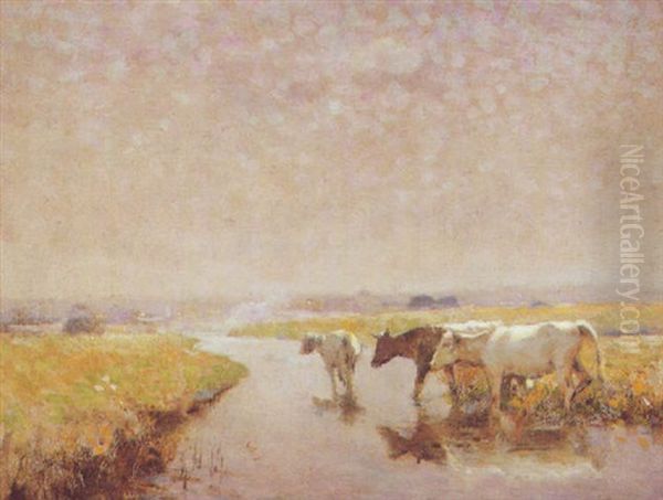 Cattle Watering Oil Painting by Frederick Hall