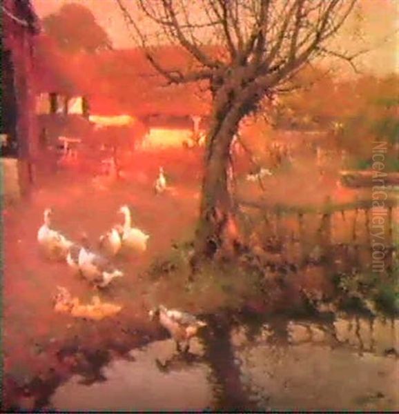 Ducks In A Farmyard At Sunset Oil Painting by Frederick Hall