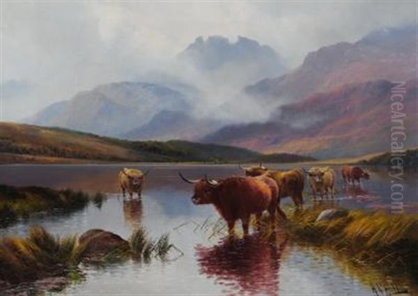 Highland Cattle, Loch Lomond, Sowing The Cobbles Oil Painting by Harald R. Hall