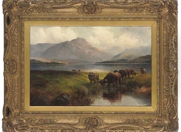 Highland Cattle, Loch Venachar, Perthshire Oil Painting by Harald R. Hall