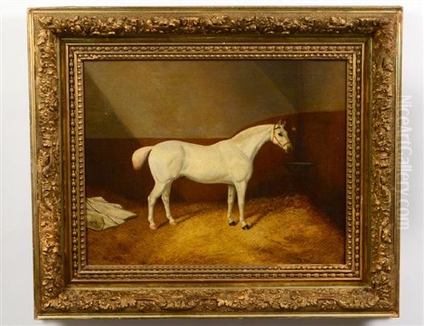 Portrait Of A White Stallion Rw Oil Painting by Harry Hall