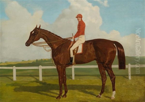 A Horse With Jockey - The Baron Oil Painting by Harry Hall