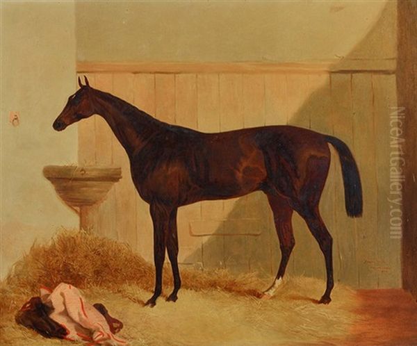 The Hunter Satterly In A Stable Oil Painting by Harry Hall