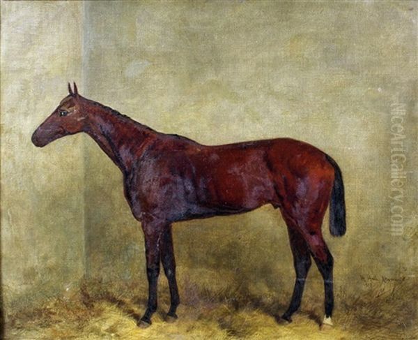 Newmarket - Study Of A Horse Oil Painting by Harry Hall