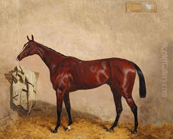 North Lincoln, A Bay Horse In A Stable Oil Painting by Harry Hall