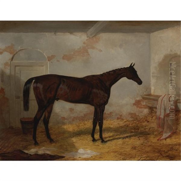 Mr. A.w. Hill's Bay Colt "sweetmeat" In A Loose Box Oil Painting by Harry Hall