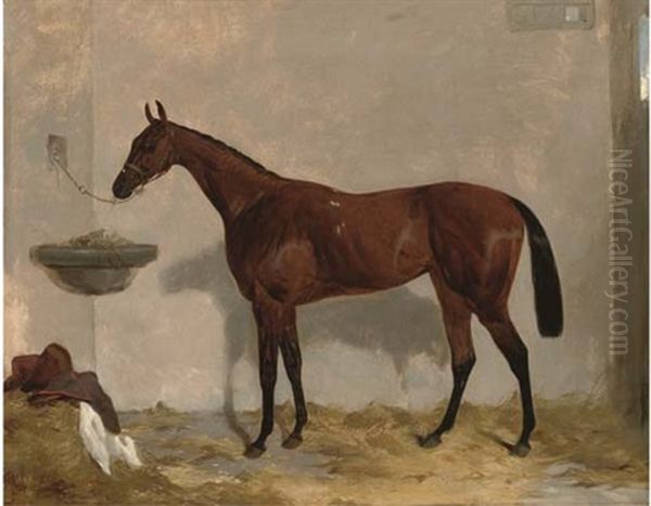 A Tethered Bay Mare In Her Stable Oil Painting by Harry Hall