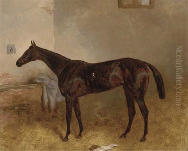 A Groomed Bay Mare With Ears Pricked Oil Painting by Harry Hall