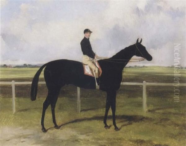 Mr. Osborne's The Black Doctor,  A Black Colt Racehorse With W. Hiett Up, A Racecourse Beyond Oil Painting by Harry Hall