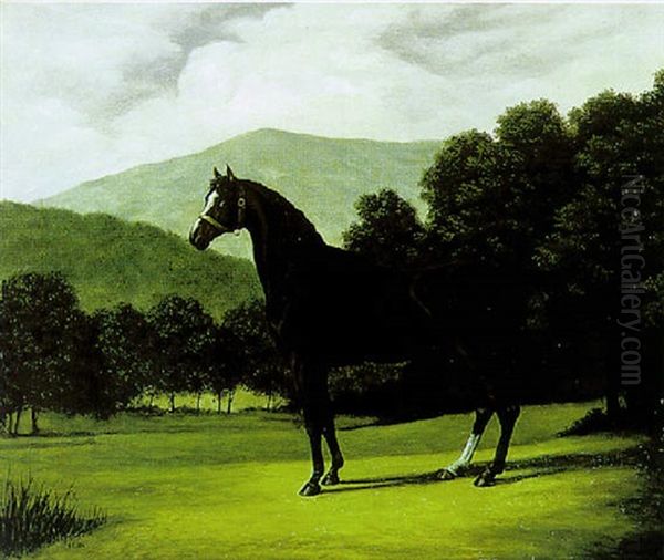 Le Cheval 