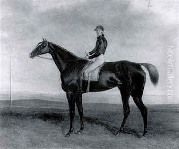 Bay Hunter With Jockey Up Oil Painting by Harry Hall