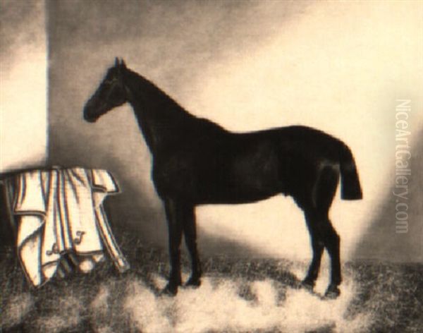 A Chestnut Colt In A Stable Oil Painting by Harry Hall