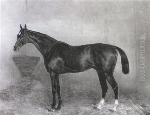 Bay Hunter In A Loose Box Oil Painting by Harry Hall