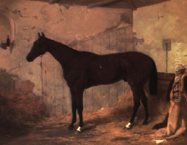 Bay Racehorse In A Stable Oil Painting by Harry Hall