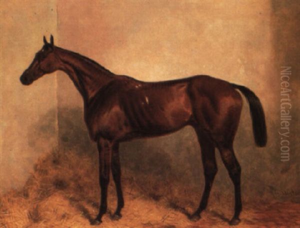 'gladiateur', A Bay Racehorse In A Loosebox Oil Painting by Harry Hall