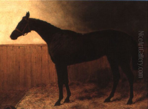 A Chestnut Racehorse In A Loose Box Oil Painting by Harry Hall