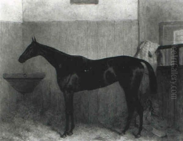 Achievement, A Dark Bay Racehorse In A Loose Box Oil Painting by Harry Hall