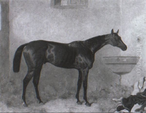 Bay Racehorse In A Stable Oil Painting by Harry Hall