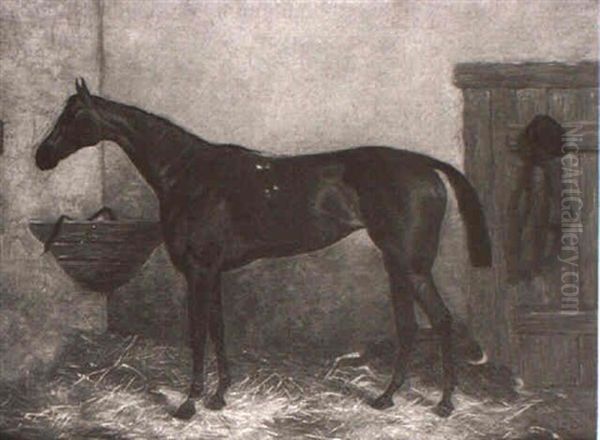 A Study Of The Race Horse Hannah Oil Painting by Harry Hall