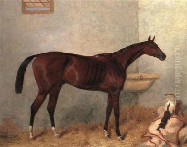 A Portrait Of A Bay Race Horse, Lord Lyon In A Stable, A    Cat Playing On The Horse Blanket Oil Painting by Harry Hall